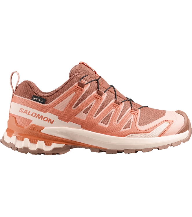 Salomon Salomon XA Pro 3D V9 GTX W pecanb/nectrn/a L47987800 Pecanb/Nectrn/A Salomon wandelschoenen L47987800 beige bij Leerentveldvrijetijd.nl
