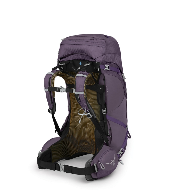 Osprey Osprey Aura AG 50 rugtas enchantment purple 10004016 Enchantment Purple Osprey tassen 10004016 blauw combinatie bij Leerentveldvrijetijd.nl